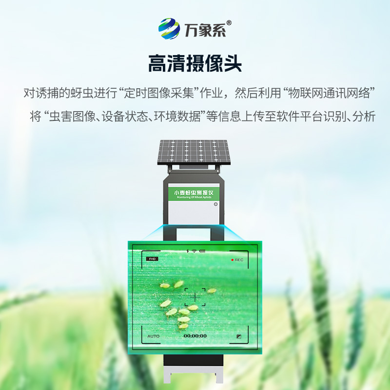 小麥蚜蟲在線監(jiān)測系統(tǒng)，小麥病害防治的利器之一