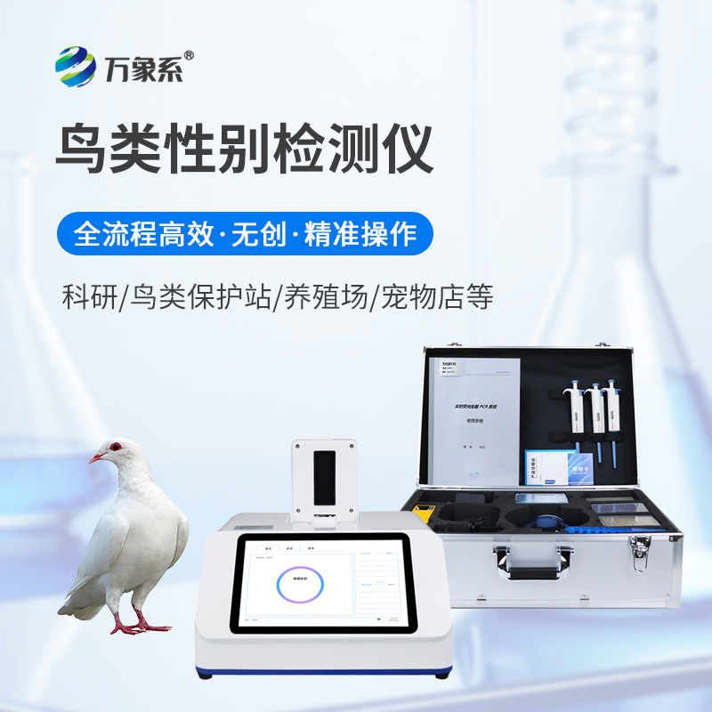 鴿子性別鑒別儀