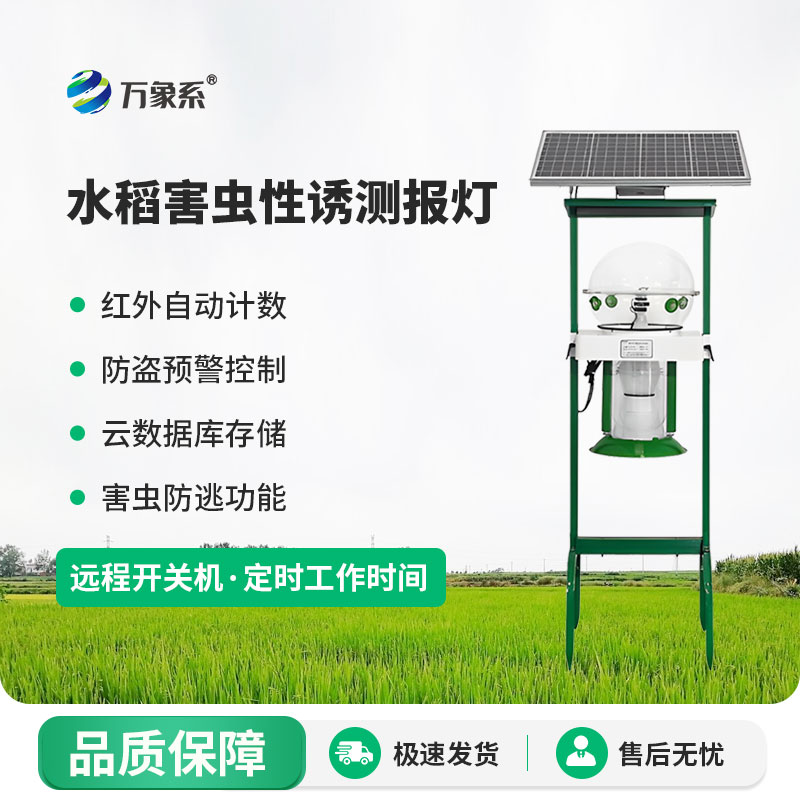 水稻害蟲(chóng)性誘測(cè)報(bào)燈:綠色誘捕+精準(zhǔn)測(cè)報(bào)，守護(hù)水稻豐產(chǎn)無(wú)憂